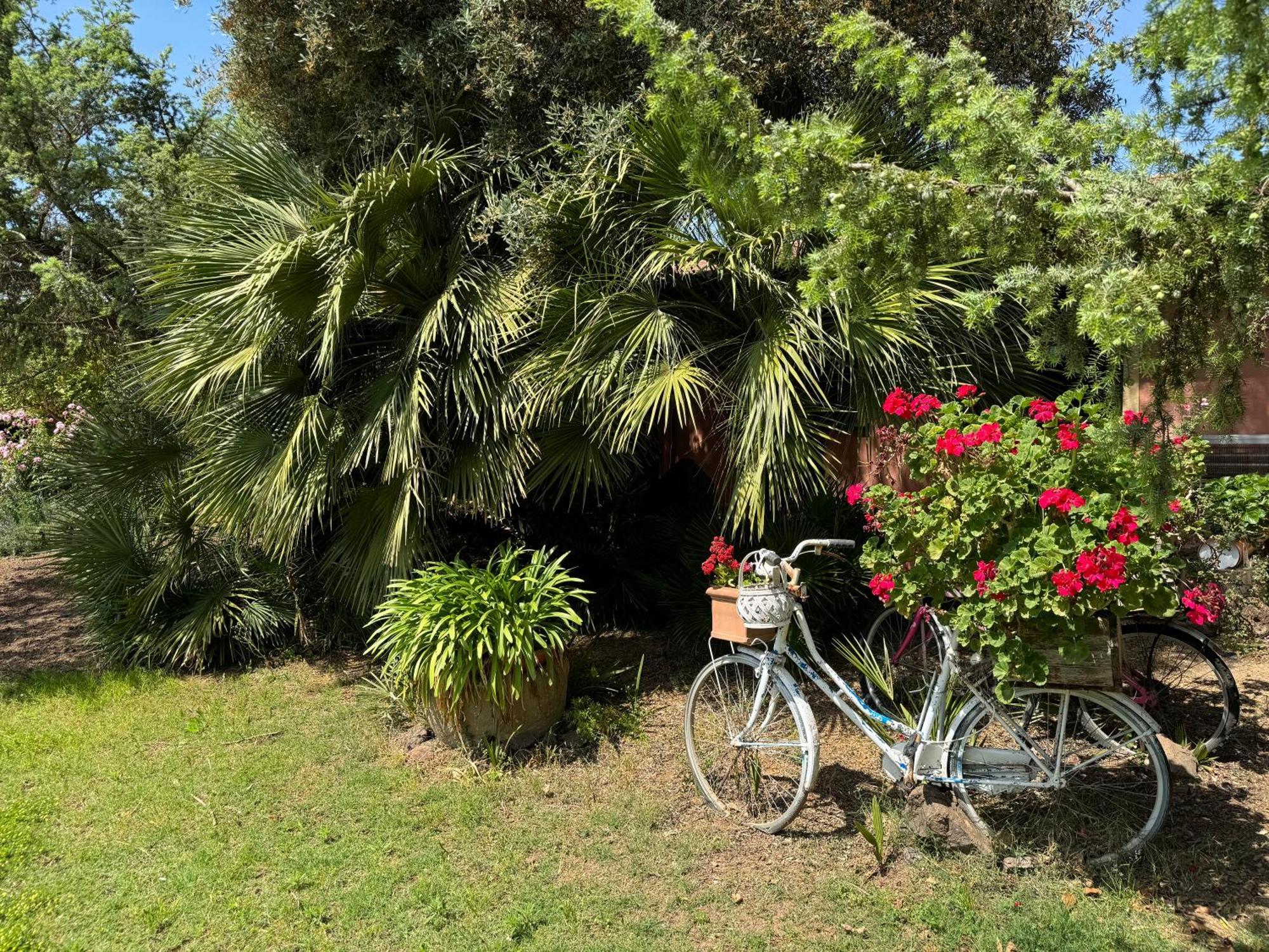 Vila L'Orto San Vero Milis Exteriér fotografie